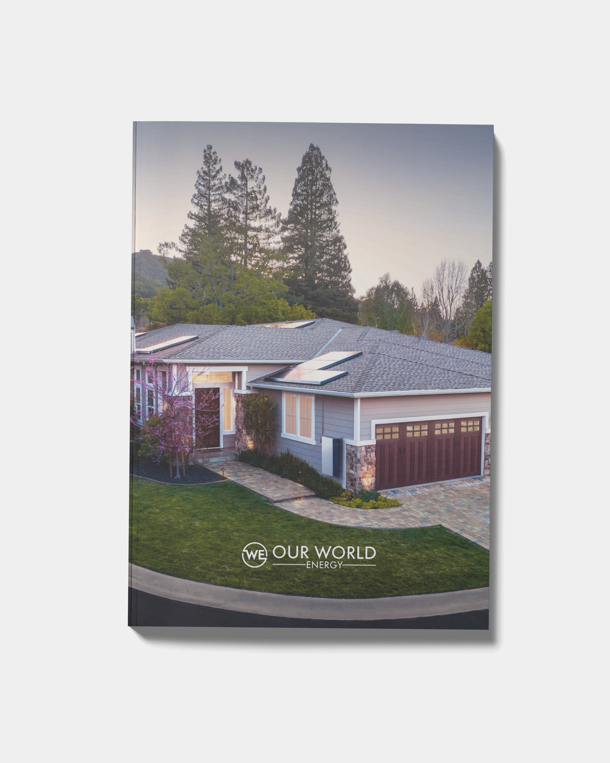 Unity - OWE Sales Pamphlets (Pack of 20)